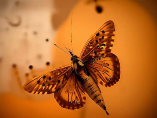 Surreal AI composition with flowing lines and complex organic forms.